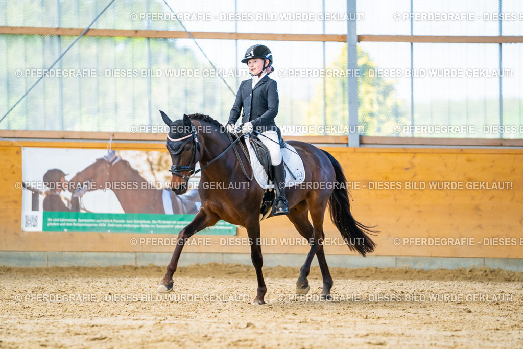 DSC07284 | Pferdegrafie