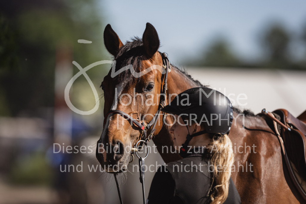 230610_Mühlen_StilA1_Impressionen-533 | Deine schönsten Turniermomente als professionelle Fotos! Entdecke hochwertige Pferdesport-Fotografie im Online-Shop. Jetzt Fotos finden & bestellen!