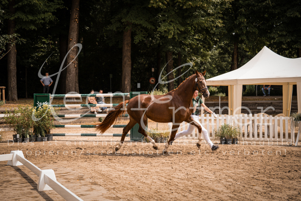 3.Fr00070 | Leoni Ertmer Photography - Realisiert mit Pictrs.com