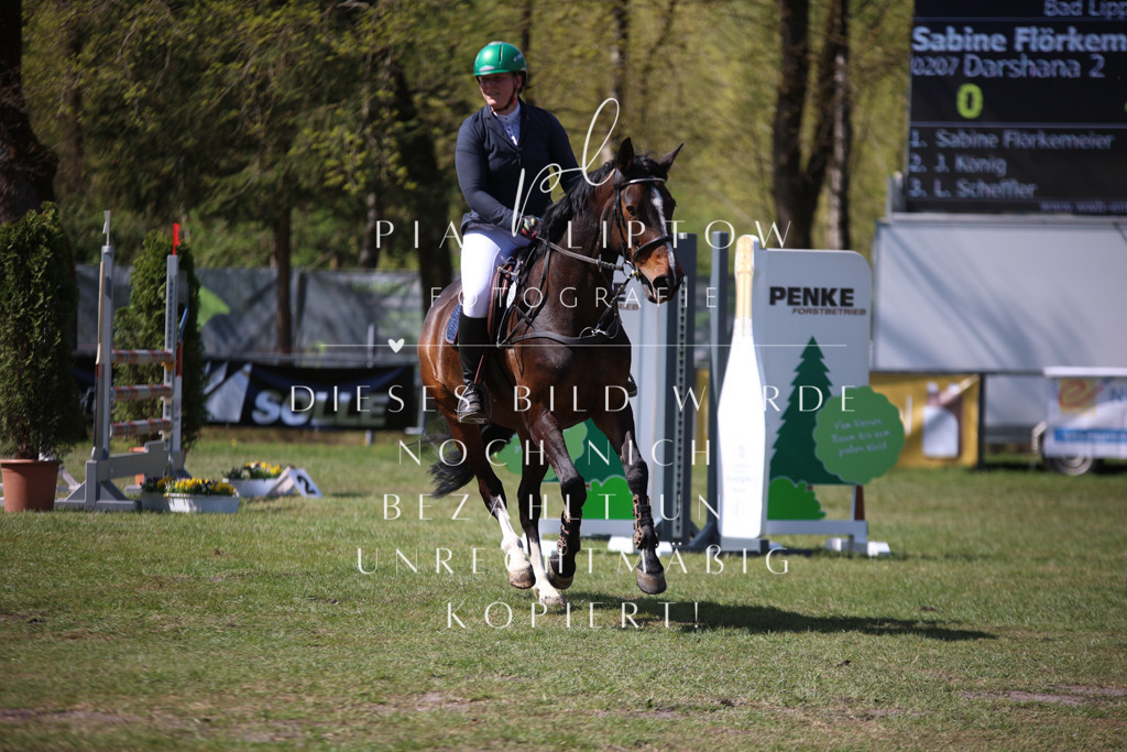 IMGT1217 | pl-fotografie