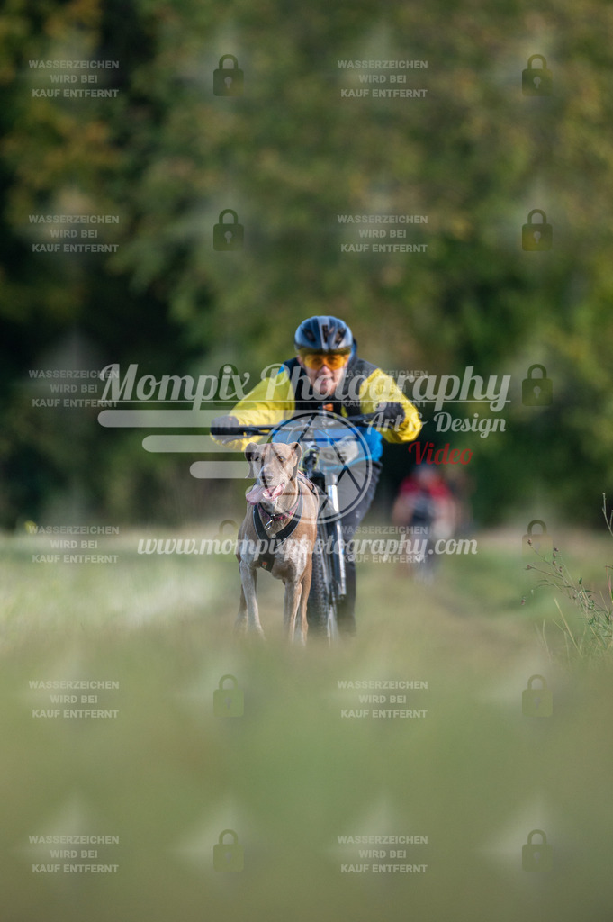 CDLBDB_15_10_2023_Dimanche-271 | PayLife