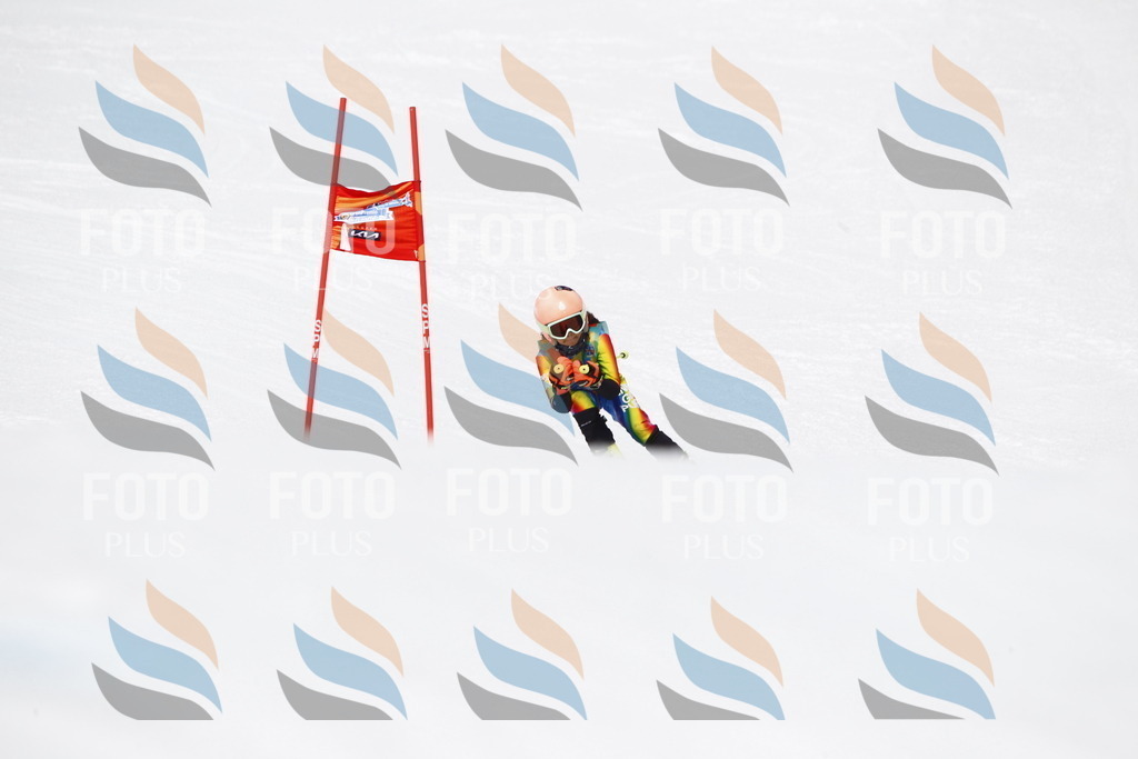 _U3G7843 | holidayphoto