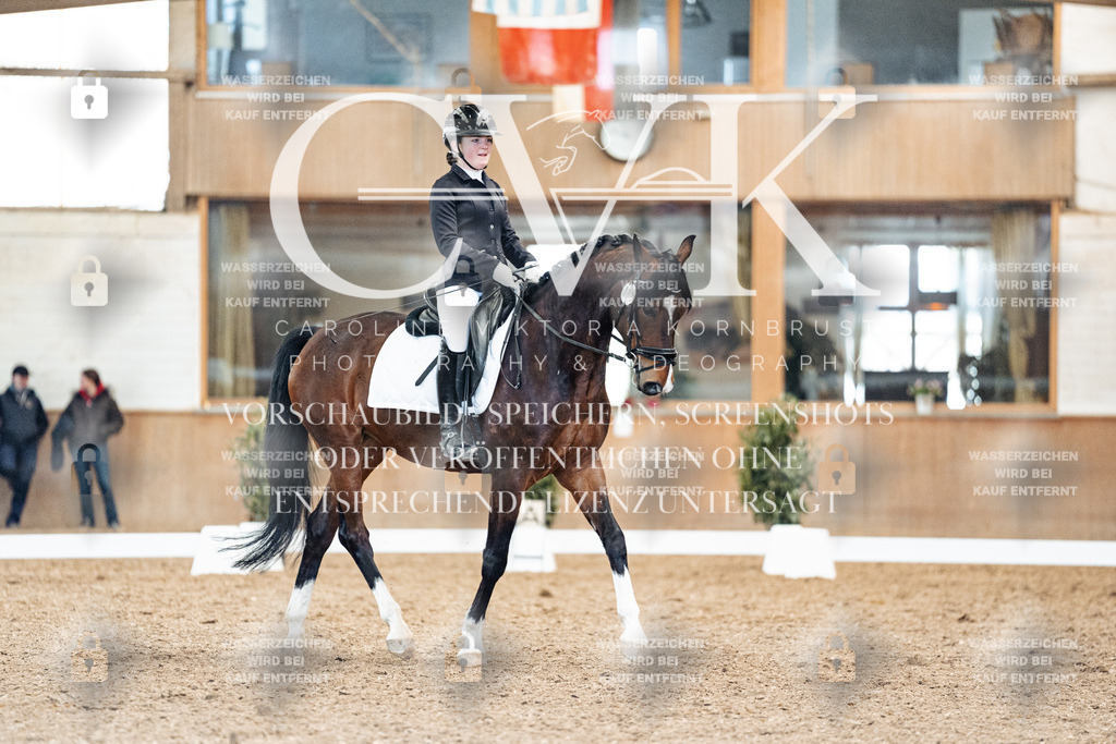 CK909819 | Turnierfotografie Pferdefotografie Trier Rheinland-Pfalz Pferdesport Reitsport Tierfotografie Sportfotografie Pferdevideo Pferdevideografie Equestrianvideography equestrianphotography  - Realisiert mit Pictrs.com