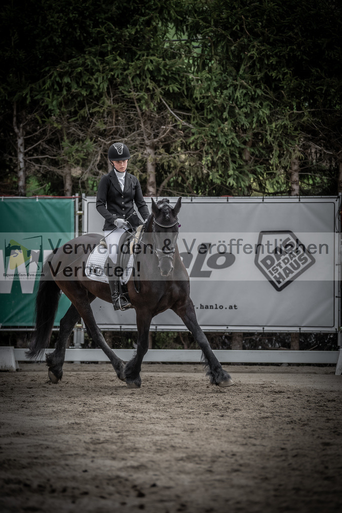 DSC_9225 | equestrian-live-com