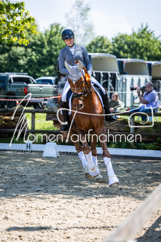 Donop24-L-Dre-134 | MomenTaufnahmen Pferdesportfotos