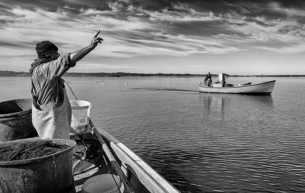 fischer-2020-077 | Matthias Nanz aus Schleswig ist einer der letzten Berufsfischer an der Schlei. Bei dieser Fangfahrt Ende April auf der Großen Breite der Schlei begegnete er seinem Kollegen Jörn Ross, dem Ältermann der Holmer Fischerzunft. - Realisiert mit Pictrs.com