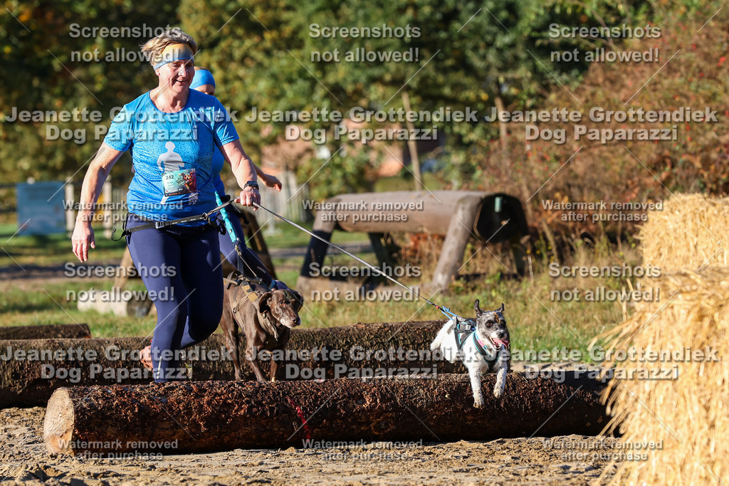 Dog Paparazzi - Strongdog 10-25-1042 | Dog Paparazzi Jeanette Grottendiek Fotografie & Videografie - Realisiert mit Pictrs.com