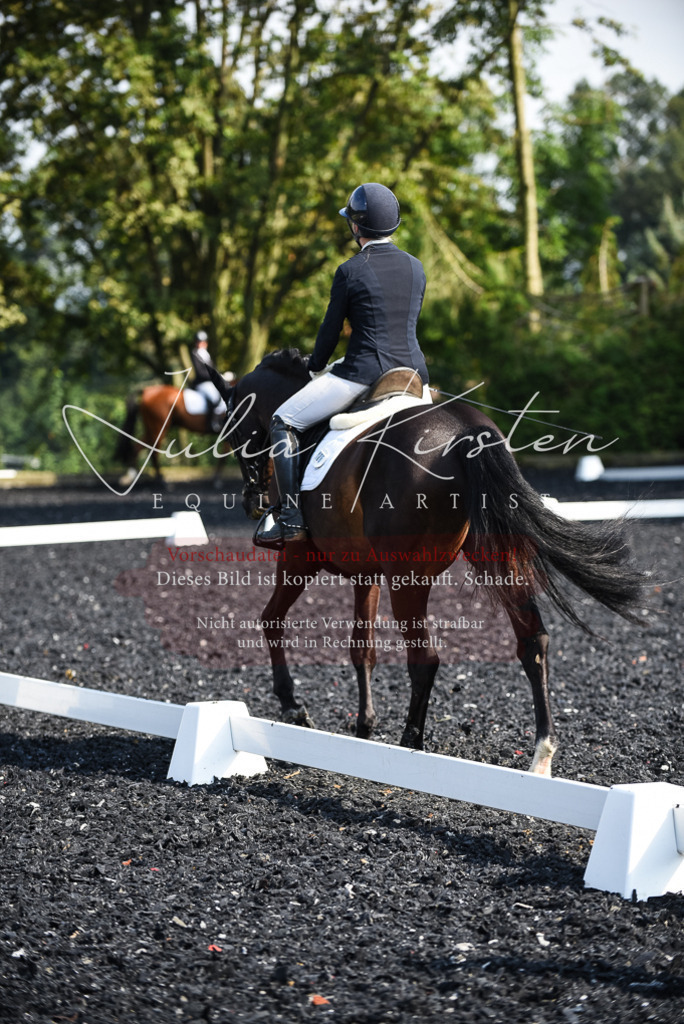 DSC_3141 | Pferde- und Turnierfotografie in Westsachsen. Pferdeportraits, Auftragszeichnungen und intuitive Kunst.