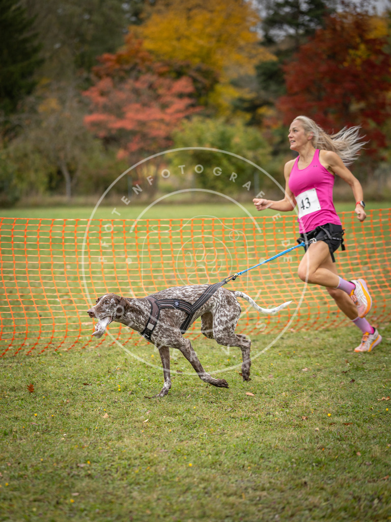 Pfotenfotografie_DV3A2365 | Hundefotografie, Tierfotograf, Pfotenfotografie, Fotoshooting Hund, Hunde Portrait, Hundesport, Hundeportraits, Heideshooting, Hunde, Sportfotograf, Hundefotograf, Turnierhundsport, THS,  - Realisiert mit Pictrs.com