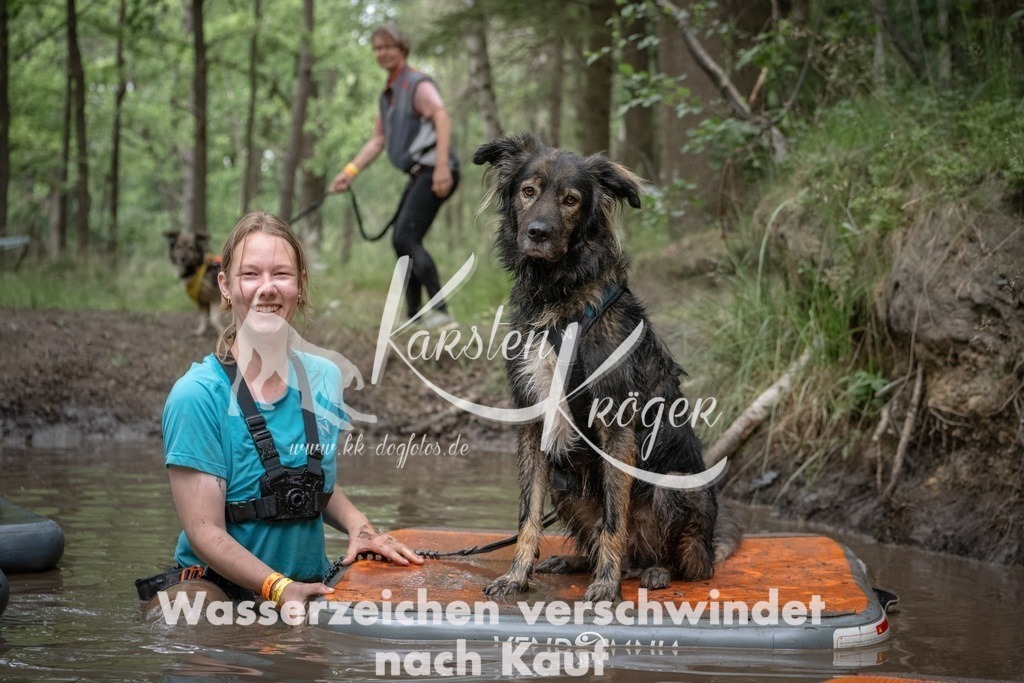 1243_ZZ90526T | kk-dogfotos