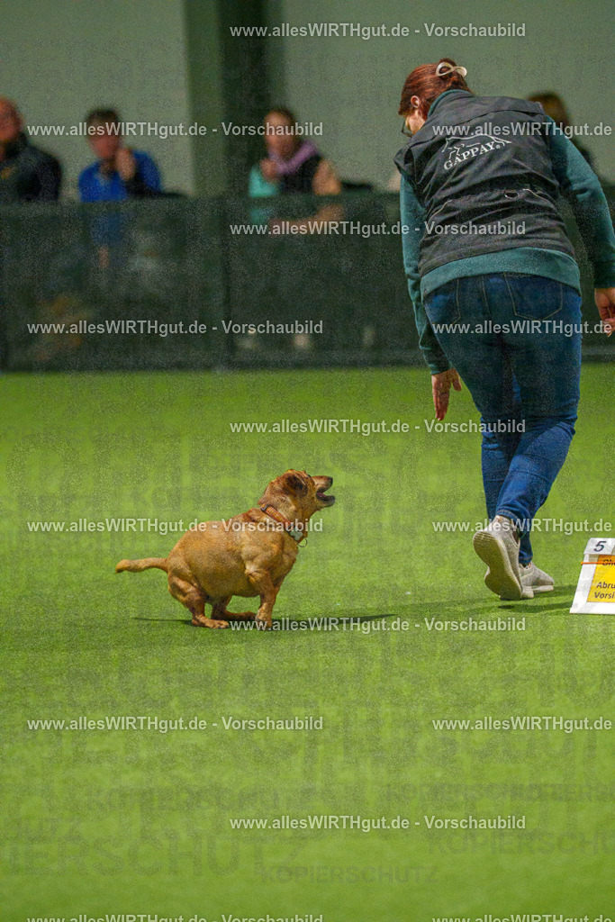 7R508621 | Professionelle Tierfotografie in Mönchengladbach von Daniel Wirth (allesWIRTHgut). Liebevolle & natürliche Bilder von Hunden & Katzen für unvergessliche Erinnerungen.