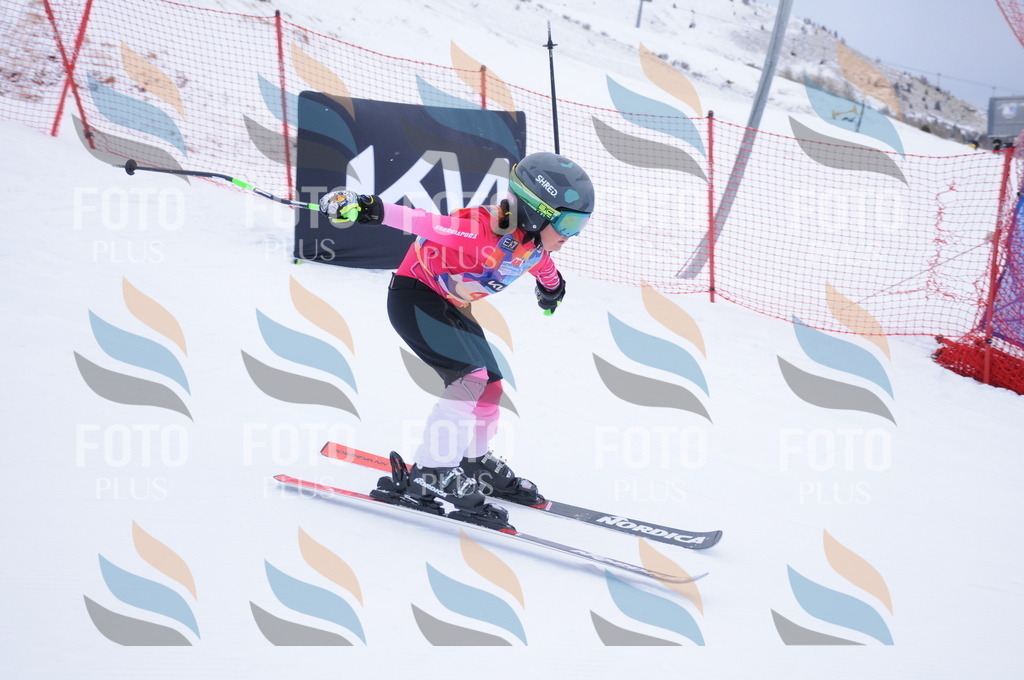 DSC_7571 | holidayphoto