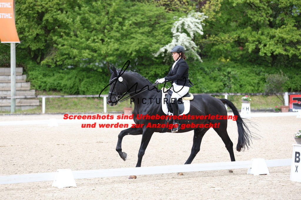 A40A4379 | lmwpictures - Realisiert mit Pictrs.com