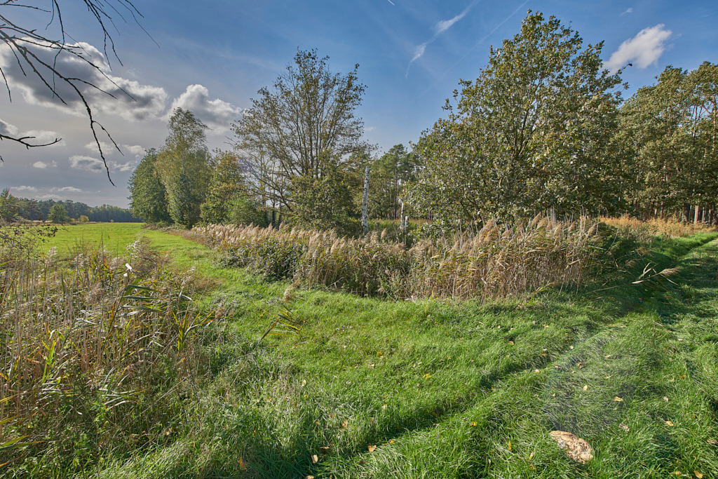 Feuchtgebiet am Nordrand zwischen Gruhno und Friedersdorf 01 | Bedeutsame Landschaften Deutschlands - Realisiert mit Pictrs.com