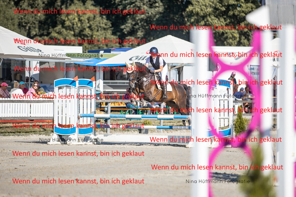 BK1A7379 | Turnierbilder Turnierfotos Nina Hüffmann Turnierfotografie Pferdefotografie Tierzeichnung Haustierzeichnung Pferdezeichnung Hundezeichnung Videograf  - Realisiert mit Pictrs.com