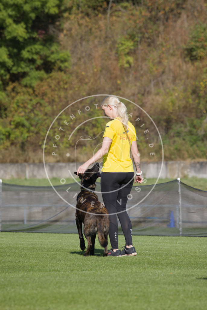 0L8A2298 | Hundefotografie, Tierfotograf, Pfotenfotografie, Fotoshooting Hund, Hunde Portrait, Hundesport, Hundeportraits, Heideshooting, Hunde, Sportfotograf, Hundefotograf, Turnierhundsport, THS,  - Realisiert mit Pictrs.com