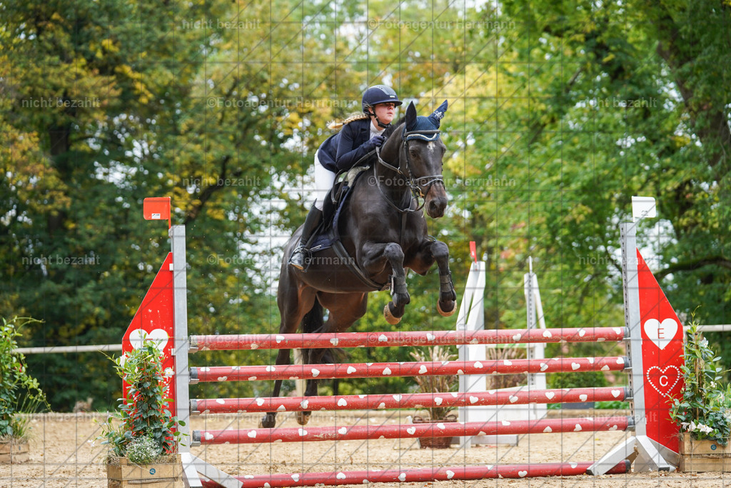 20221009-FAH08868 | Diessen am Ammersee, 2022, Dressur- und Springturnier, Reitsportbilder, Turnierfotografen Bayern, Pferdefotografen, Fotoagentur Herrmann, Turnierbilder