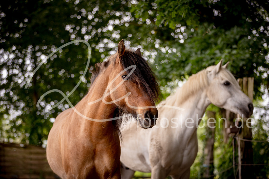 846A0462 | fotosleben - Realisiert mit Pictrs.com