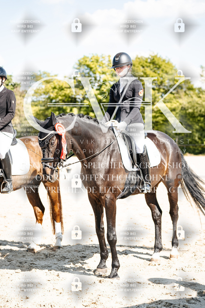 CK703566 | Turnierfotografie Pferdefotografie Trier Rheinland-Pfalz Pferdesport Reitsport Tierfotografie Sportfotografie Pferdevideo Pferdevideografie Equestrianvideography equestrianphotography  - Realisiert mit Pictrs.com