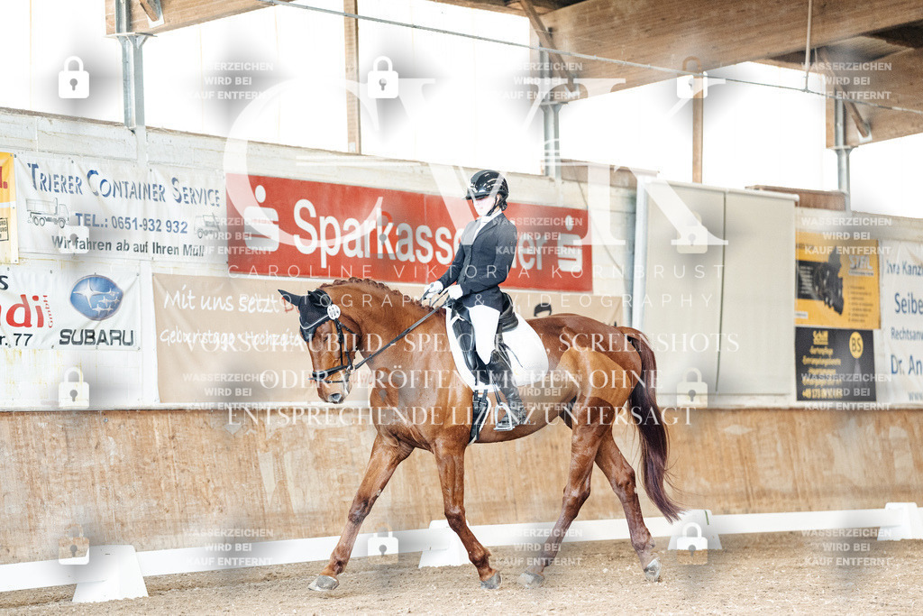 CK901045 | Turnierfotografie Pferdefotografie Trier Rheinland-Pfalz Pferdesport Reitsport Tierfotografie Sportfotografie Pferdevideo Pferdevideografie Equestrianvideography equestrianphotography  - Realisiert mit Pictrs.com
