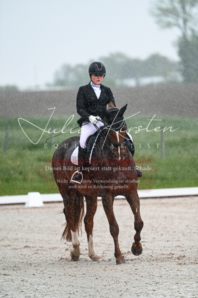 DSC_4092 | Pferde- und Turnierfotografie in Westsachsen. Pferdeportraits, Auftragszeichnungen und intuitive Kunst.