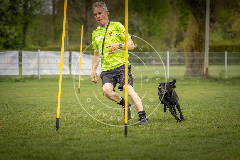 Pfotenfotografie_DV3A7699 | Hundefotografie, Tierfotograf, Pfotenfotografie, Fotoshooting Hund, Hunde Portrait, Hundesport, Hundeportraits, Heideshooting, Hunde, Sportfotograf, Hundefotograf, Turnierhundsport, THS,  - Realisiert mit Pictrs.com