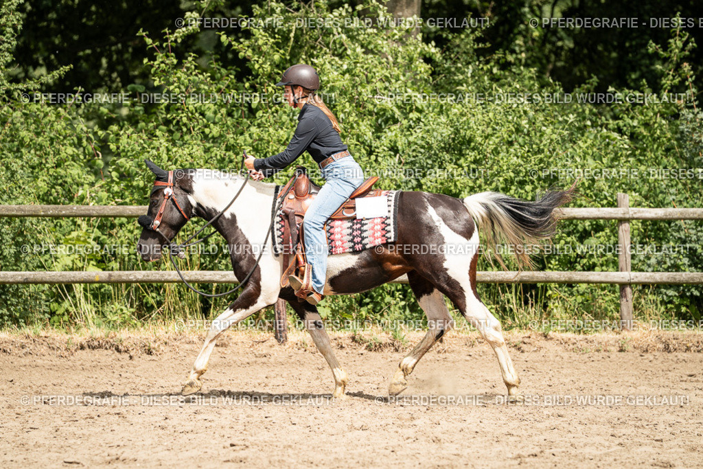 DSC01563 | Pferdegrafie