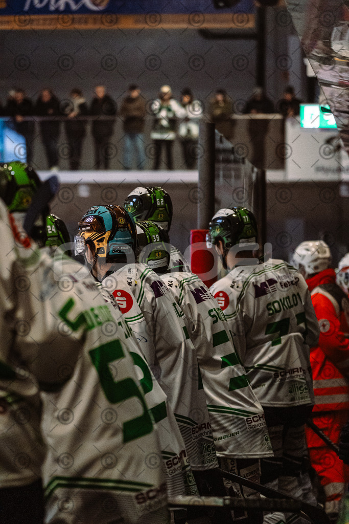 Erding_vs_Alligators_02_01_2026-31 | Höchstadt Alligators Fotogalerie: Eishockey-Action aus Franken. Professionelle Spielfotos, Portraits & Stadionbilder zum Download. Jetzt entdecken! - Realisiert mit Pictrs.com