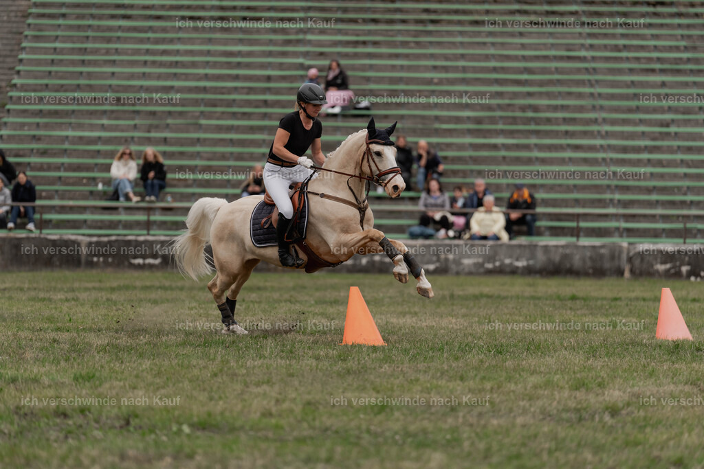 Showprogramm-502 | working equitationturnier fotograf videograf stoibphotography marixx film working equitation deutschland reitsport turnierfotografie eventfotografie equestrian events