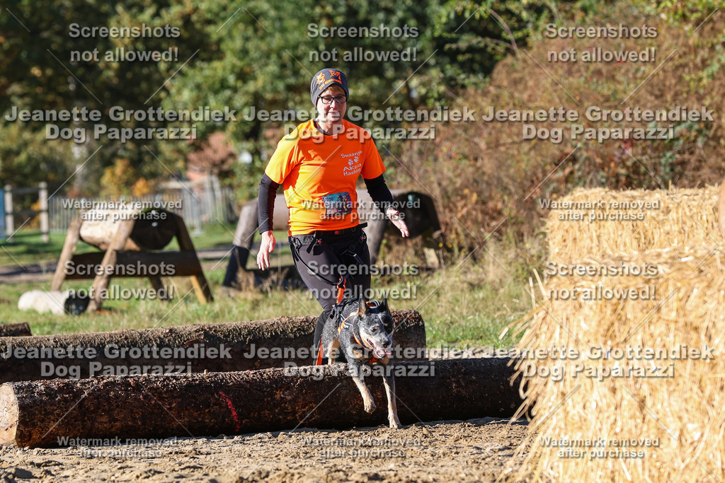 Dog Paparazzi - Strongdog 10-25-1798 | Dog Paparazzi Jeanette Grottendiek Fotografie & Videografie - Realisiert mit Pictrs.com