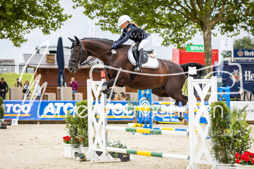 BHO-2PhSpr-M-043 | MomenTaufnahmen Pferdesportfotos