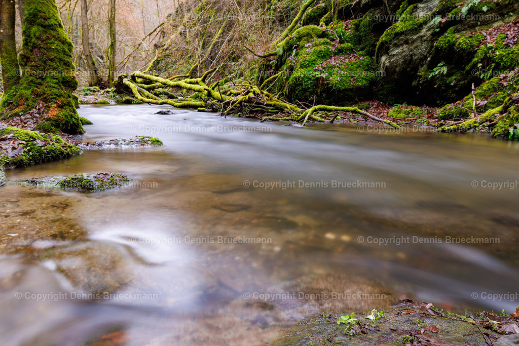 Ehrenbachklamm | Dennis-Brueckmann-Fotografie - Realisiert mit Pictrs.com