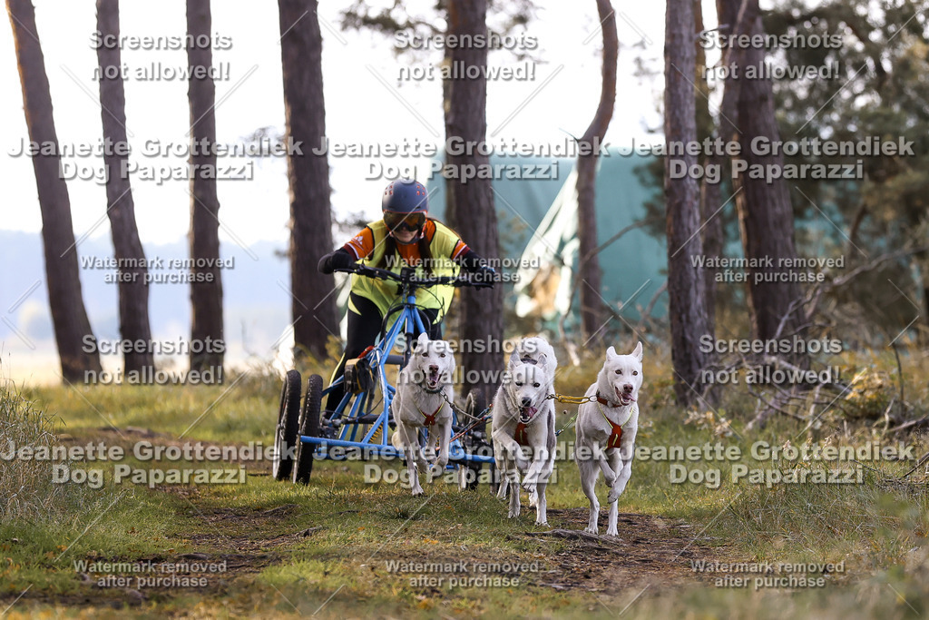 Dog Paparazzi - Elsholz 25 -87 | Dog Paparazzi Jeanette Grottendiek Fotografie & Videografie - Realisiert mit Pictrs.com