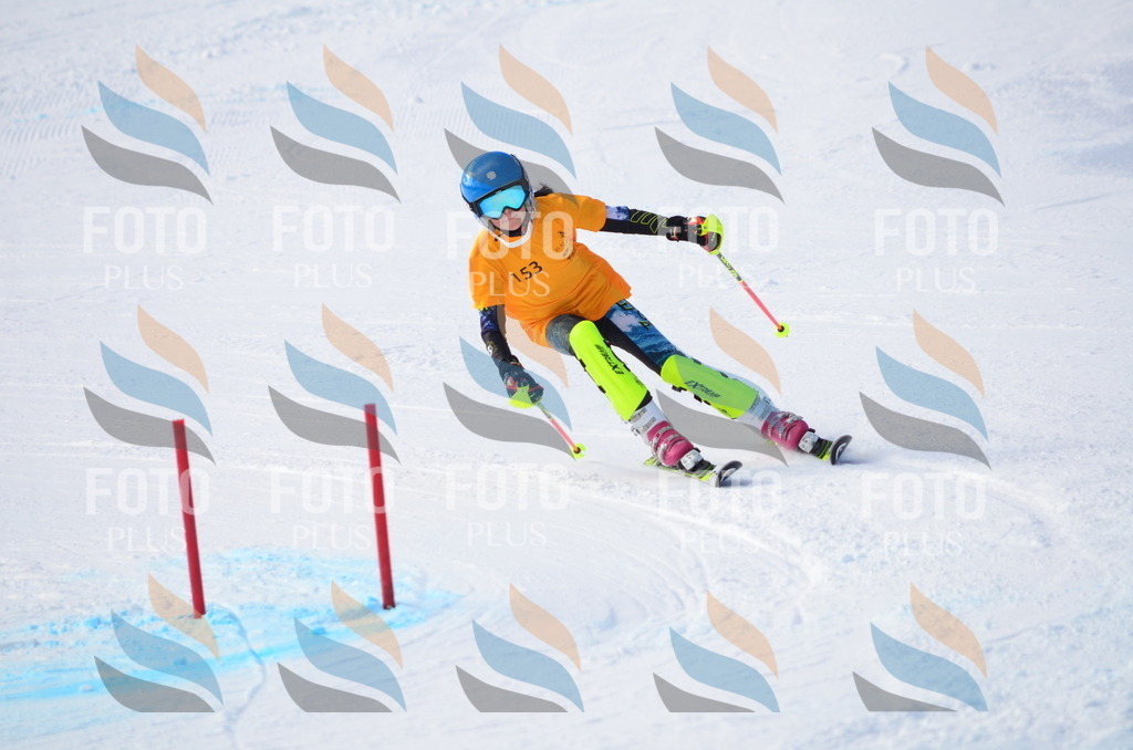 C7777 | holidayphoto