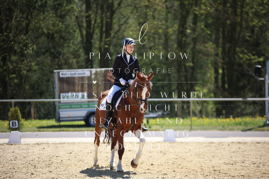 IMGT0831 | pl-fotografie