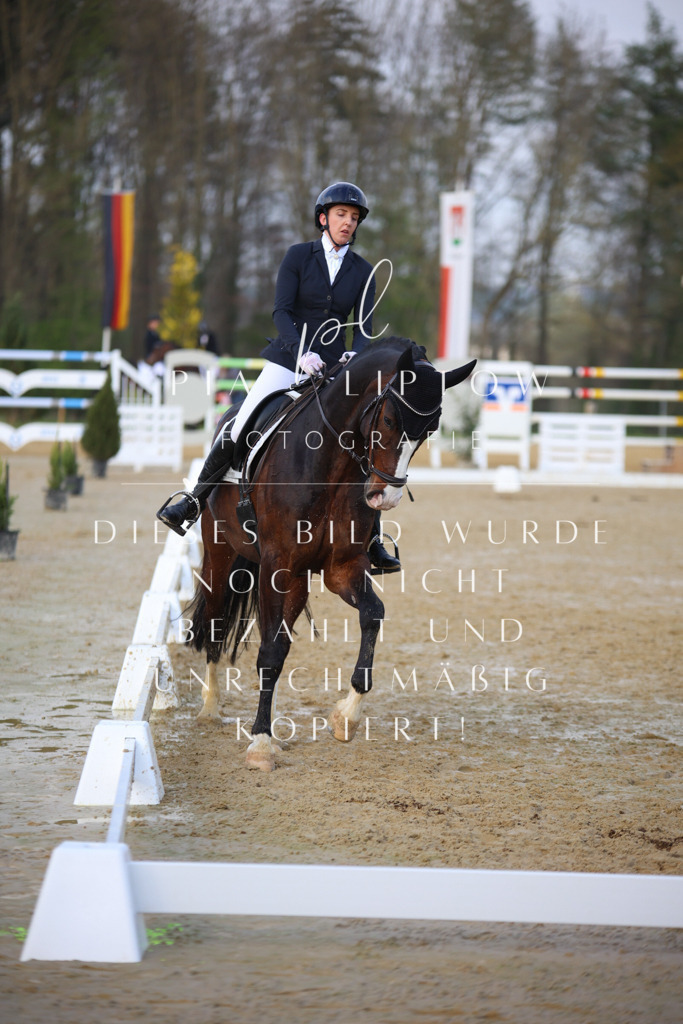 IMGT8653 | pl-fotografie