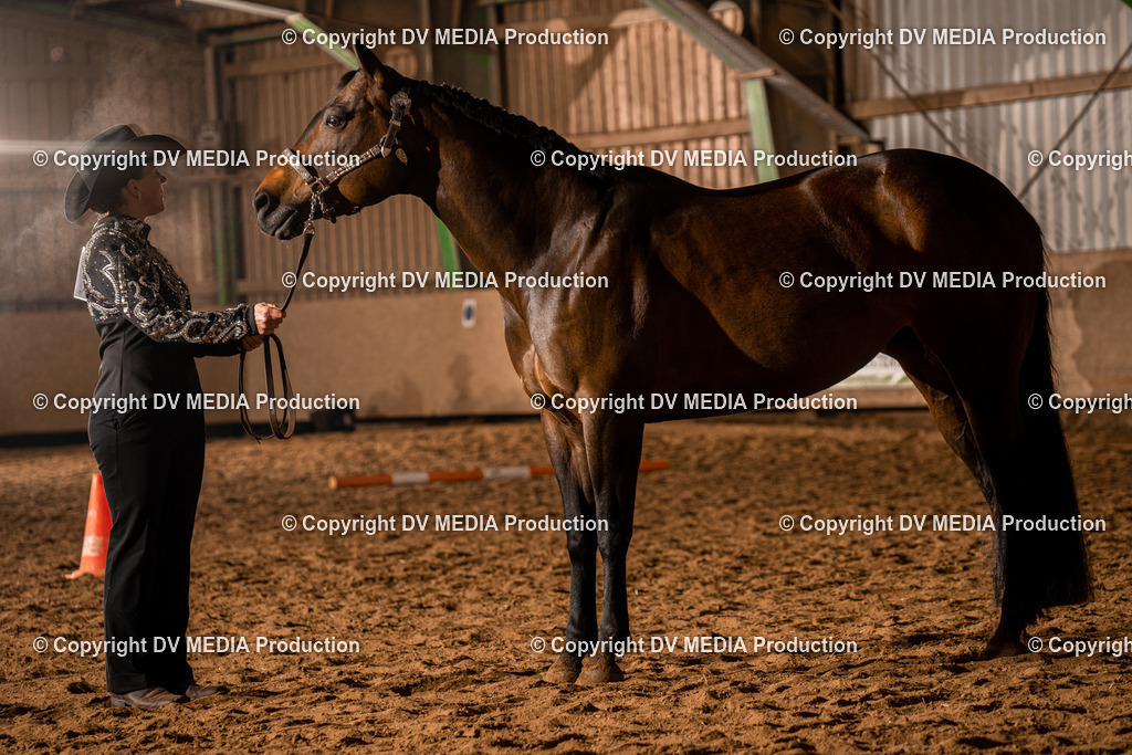 BAL01194 | dv-media-shop - Realisiert mit Pictrs.com