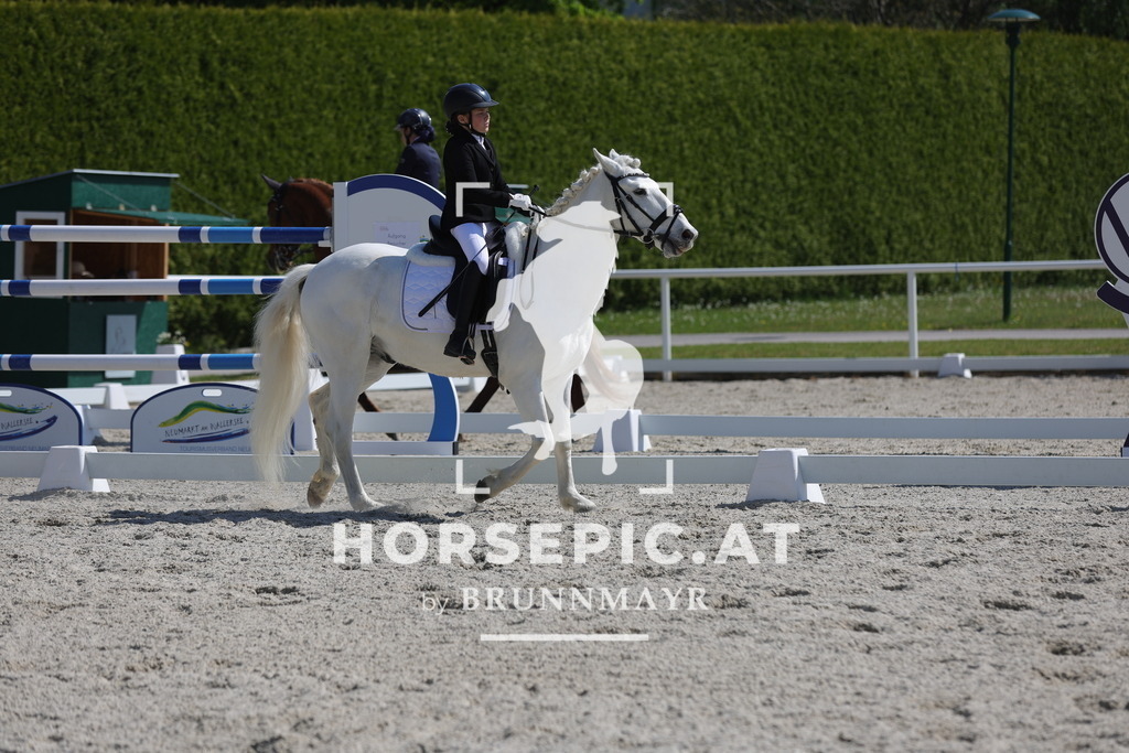 0P6A2640 | Willkommen bei Brunnmayr - Design & Fotografie – Ihrem Spezialisten für Reitturniere und Pferdeveranstaltungen in Oberösterreich, Salzburg und Bayern! Seit über 17 Jahren sind wir leidenschaftlich dabei.