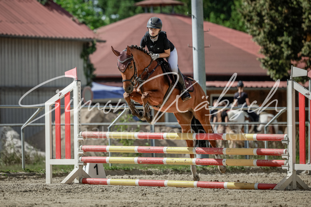 20250906-_3LI6434 | Tierfotografie Pferde, Hunde, Katzen, Haustiere.
Turnierfotografie Reitturniere, Reiten, Springreiten, Dressur in Hanau, dem Main-Kinzig-Kreis und dem Rhein-Main- Gebiet um Frankfurt