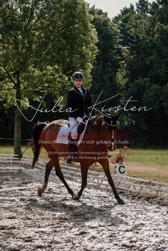 DSC_9006 | Pferde- und Turnierfotografie in Westsachsen. Pferdeportraits, Auftragszeichnungen und intuitive Kunst.