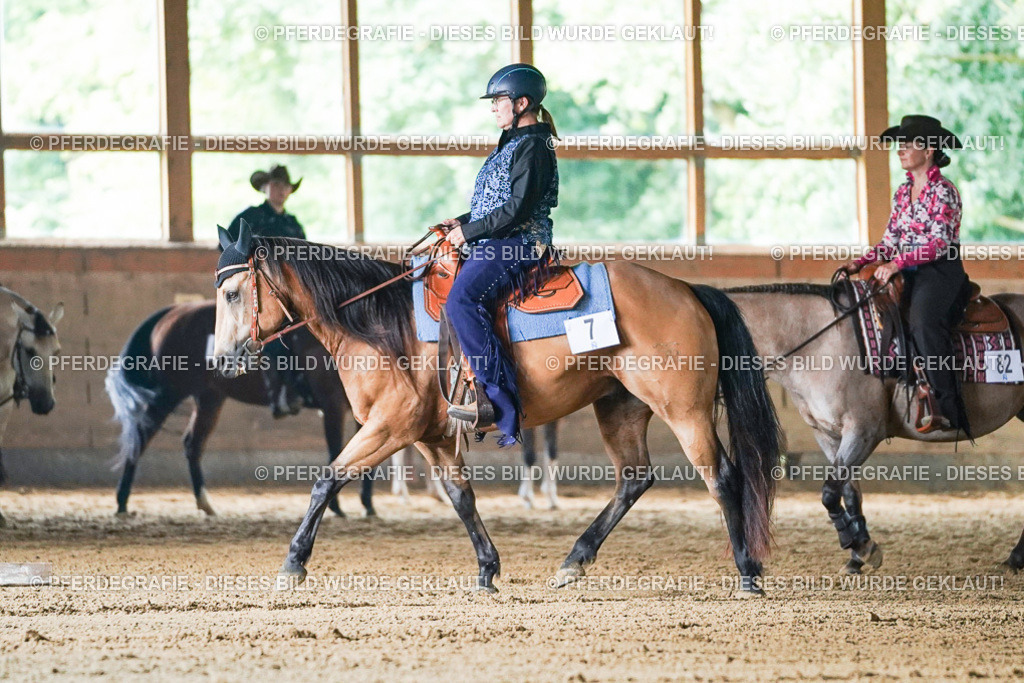 DSC05182 | Pferdegrafie