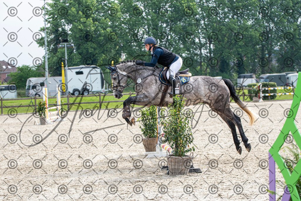 KPT_2371 | andre_photographic