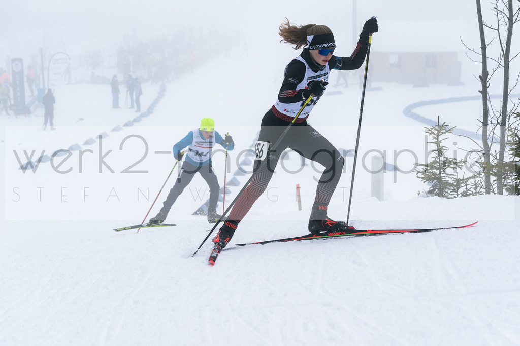 DSC Arber | Bayerischer Wald am 15. und 16. Januar 2022