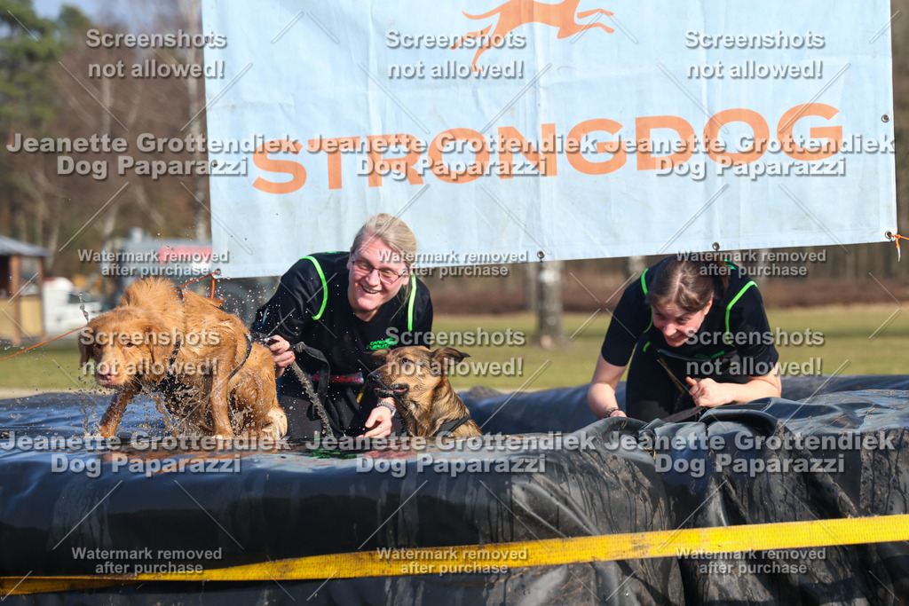 Dog Paparazzi - Strongdog North Mrz26-3304 | Dog Paparazzi Jeanette Grottendiek Fotografie & Videografie - Realisiert mit Pictrs.com