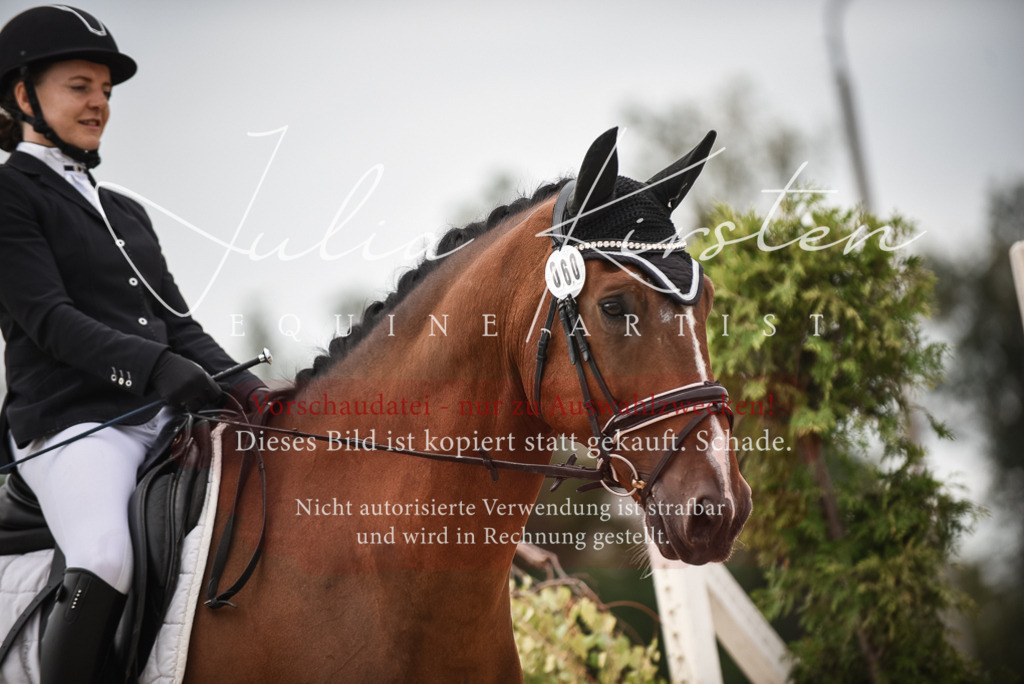 DSC_8043 | Pferde- und Turnierfotografie in Westsachsen. Pferdeportraits, Auftragszeichnungen und intuitive Kunst.
