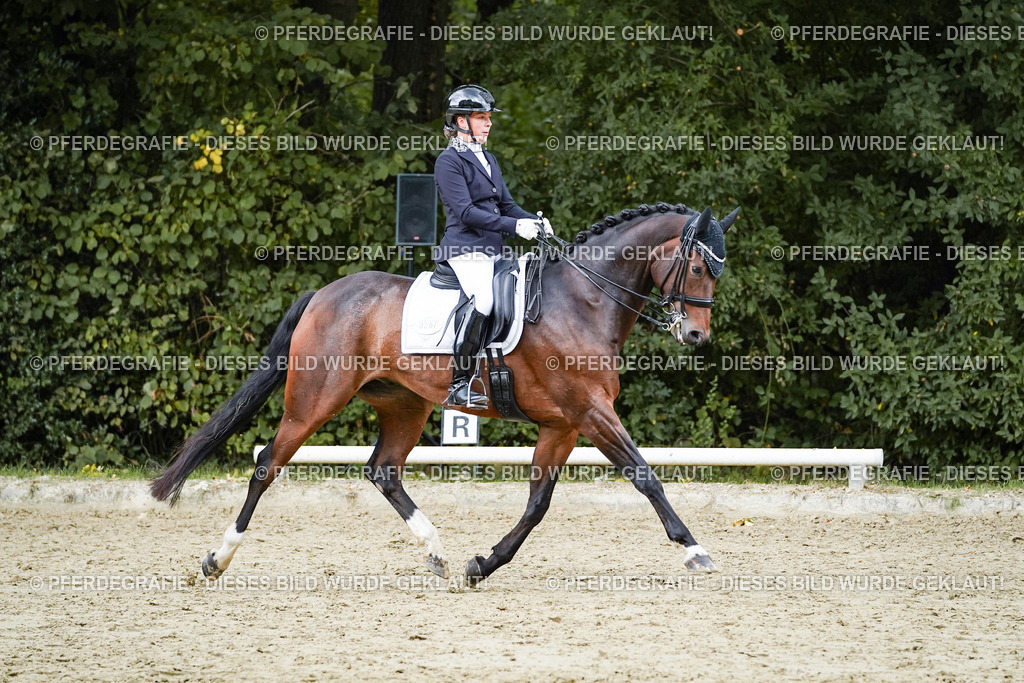 DSC06451 | Pferdegrafie