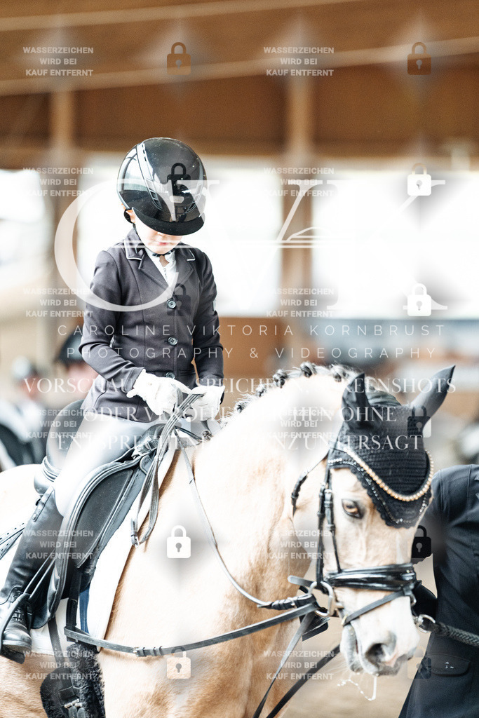 CK901870 | Turnierfotografie Pferdefotografie Trier Rheinland-Pfalz Pferdesport Reitsport Tierfotografie Sportfotografie Pferdevideo Pferdevideografie Equestrianvideography equestrianphotography  - Realized with Pictrs.com