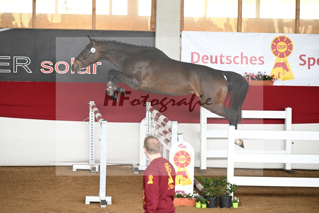 Kat-Nr. 33 Calimera v. Chubakko_Egetenmeier_9240782 | hf-fotografie - Realizzato con Pictrs.com