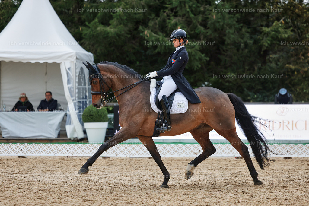 12-186-DRESSUR  S___  -StoibPH-5375 | working equitationturnier fotograf videograf stoibphotography marixx film working equitation deutschland reitsport turnierfotografie eventfotografie equestrian events