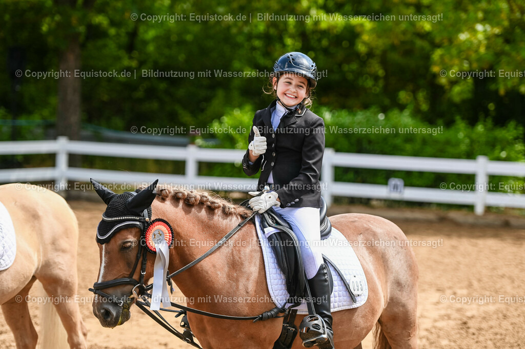 20230716_10-3_Reiter-WB Schritt - Trab - Galopp_0233 | equistock